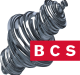 logo bcs